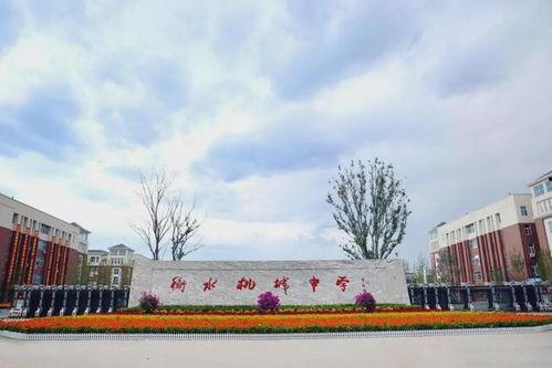 衡水桃城爆料最新消息,揭秘事件真相，真相令人震惊！