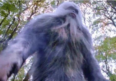 斗罗大陆真香爆料视频,揭秘剧情高潮与角色命运转折